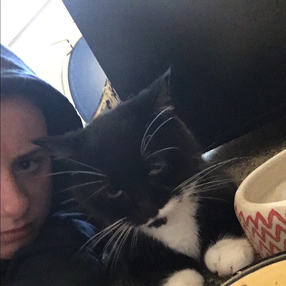 Meet your Posher, Sophie